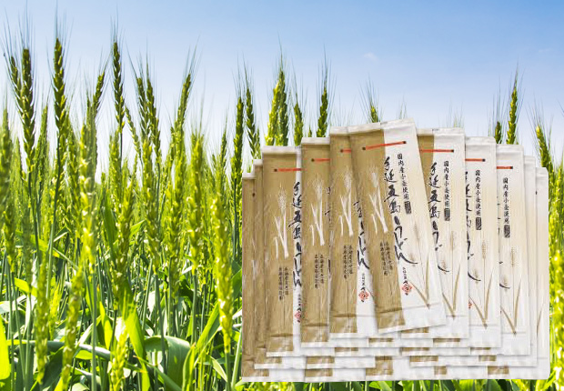 お徳用段ボール入り国内産小麦五島うどん