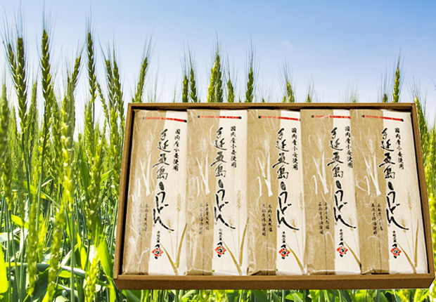 国内産小麦五島うどんセット