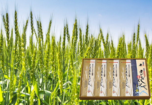 国内産小麦五島うどん+あごだし