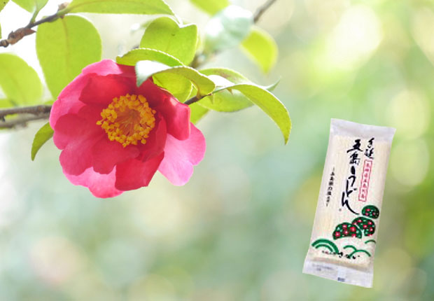 【単品】五島手延べうどん「島椿」300ｇ