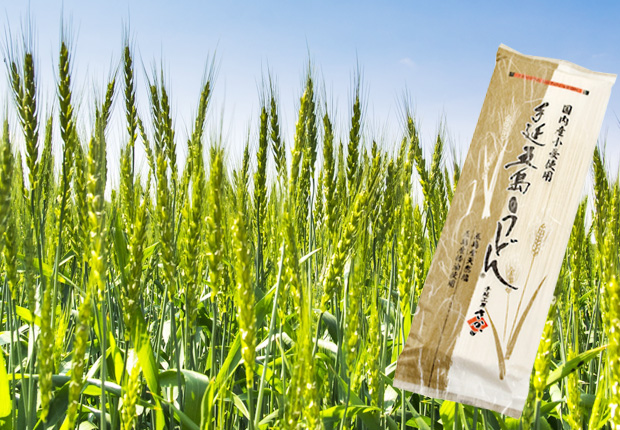 【単品】国内産小麦五島うどん200g