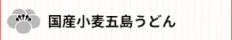 国産小麦五島うどん