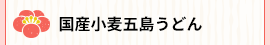 国産小麦五島うどん