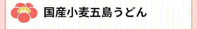 国産小麦五島うどん