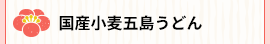 国産小麦五島うどん