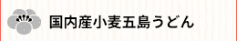 国産小麦五島うどん