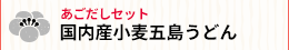 国産小麦五島うどんあごだしセット