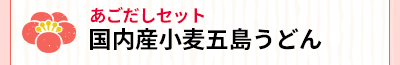 国産小麦五島うどんあごだしセット