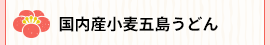 国産小麦五島うどん