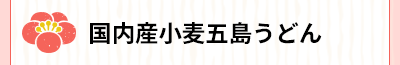 国産小麦五島うどん