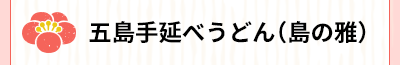 五島手延べうどん（島の雅）